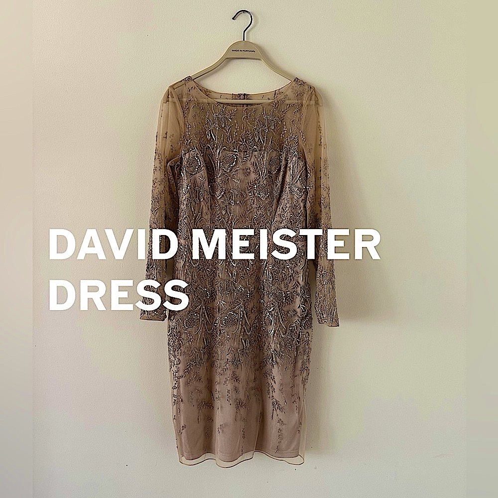 David Meister Evening Dress, Size 4, Sequin Knee Length